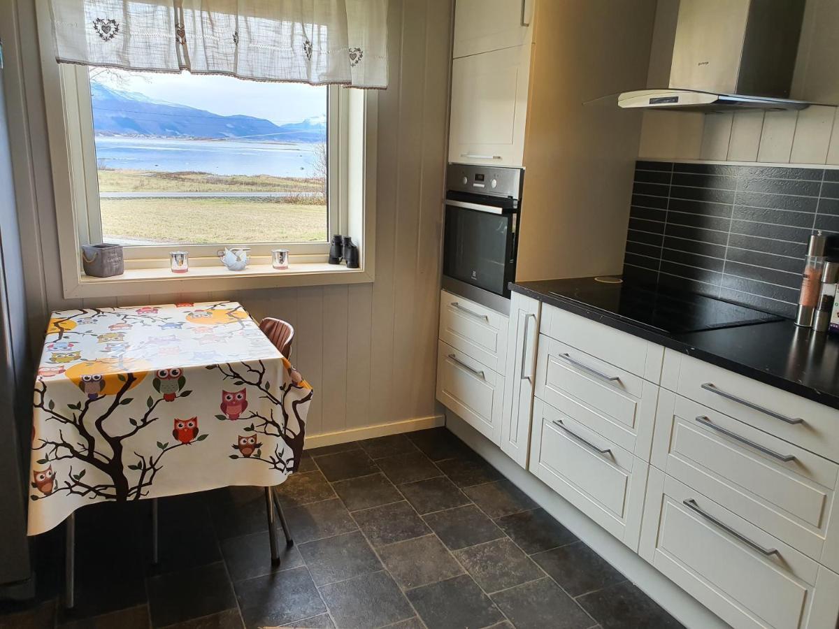 1 Room In The Yellow House, Close To Airport & Lofoten Evenskjer Exteriör bild