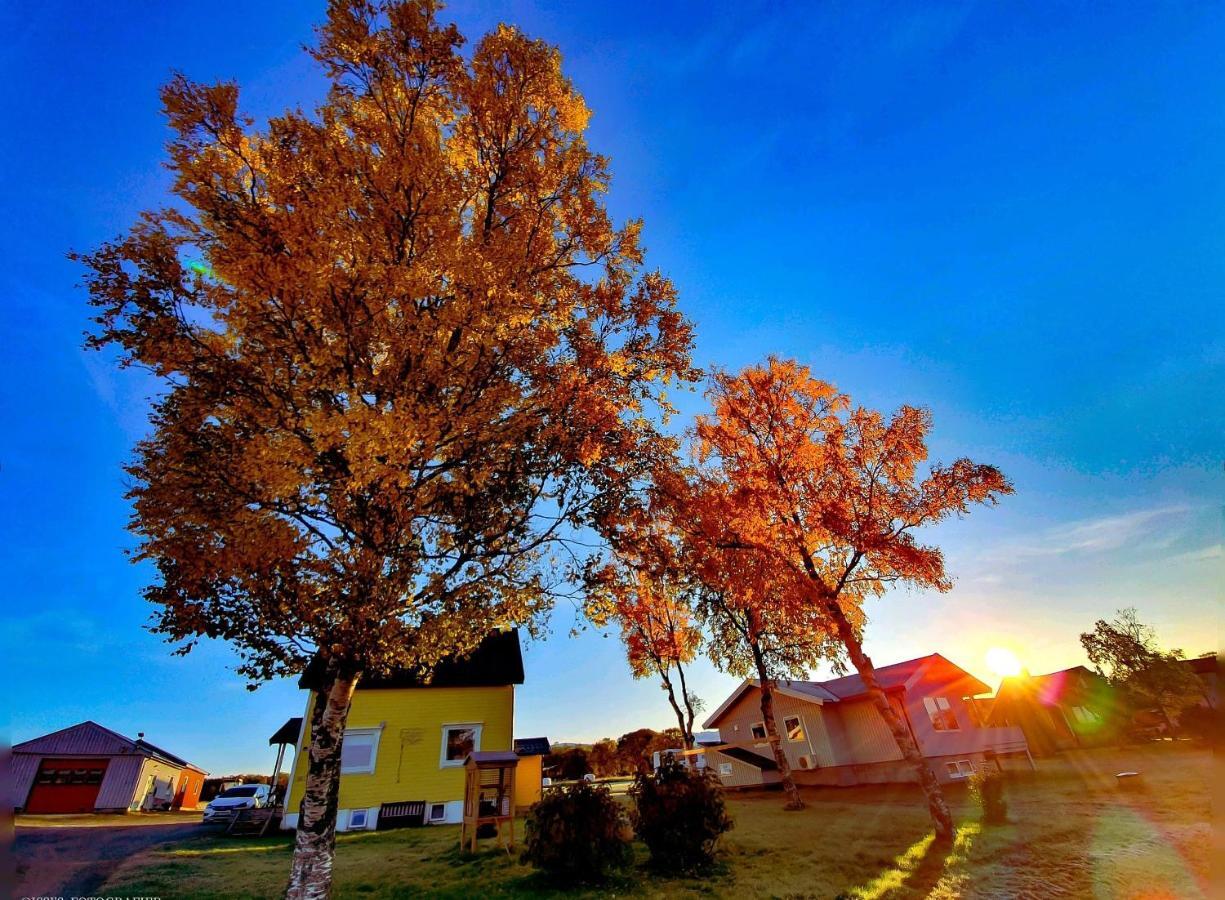 1 Room In The Yellow House, Close To Airport & Lofoten Evenskjer Exteriör bild